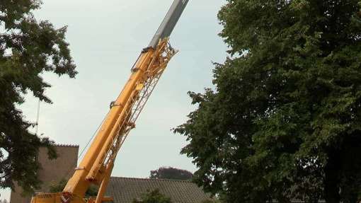 Bomen rooien Heijenrath